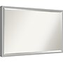 Amanti Art Hera Chrome Frame Wall Mirror, 25" x 37" (A42675343024)~#|#~970B1C9C-CCAE-45BE-88BEA37E08353301_sc7