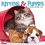 2027 Willow Creek Kittens & Puppies 12" x 12" Monthly Wall Calendar, Assorted Colors (60940)~#|#~9721E791-B3A5-40F5-8D859FD2A10619D3_sc7
