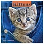 2026 TF Publishing Kittens Mini 7" x 7" Monthly Wall Calendar, Multicolor (26-2002)~#|#~97280CA2-E8B1-4992-8D8E14866C2305C3_sc7