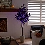 Nearly Natural Pre-Lit Artificial Halloween Black Eucalyptus Tree, 6' (T5223)~#|#~9749F273-C8DA-4707-A97DB63DF6382B85_sc7