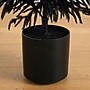 Nearly Natural Artificial Halloween Real Touch Black Norfolk Pine Christmas Tree, 5' (T5243)~#|#~974B61CB-29EB-41AD-AB0DBCC8BB76A143_sc7