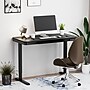 FlexiSpot EW2 48"W Electric Adjustable Standing Desk, Black (EW2B-E)~#|#~974FAAFE-8695-42DF-92BE297818E64FC0_sc7