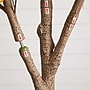 Nearly Natural 9' Autumn Maple Artificial Fall Tree (T4812)~#|#~9755D8C5-41C2-4AA4-B761AED341E18D2D_sc7