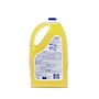 Lysol Clean & Fresh Multi-Surface Cleaner, Sparkling Lemon & Sunflower Essence Scent, 144 oz. (3624177617)~#|#~9756B838-174D-4BED-A5252B62711B38CC_sc7
