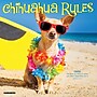 2027 Willow Creek Chihuahua Rules 7" x 7" Monthly Wall Calendar (63958)~#|#~97781A13-1496-4371-A7434692DAD65F04_sc7