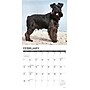 2027 Willow Creek Miniature Schnauzers 12" x 12" Monthly Wall Calendar, Assorted Colors (61220)~#|#~978AA5C1-70E9-4125-AD8B2ECC3A1DF6B7_sc7