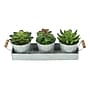 Monarch Specialties Inc. 6" Artificial Succulent in Pot, 3/Set (I 9372)~#|#~978E1A1A-1830-4F3E-85F2EE27204184CB_sc7