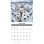 2026 Willow Creek Animal Selfies 12" x 12" Monthly Wall Calendar (49884)~#|#~979B2B59-5855-4FBD-B874734690380BA5_sc7