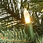 National Tree Company 2 ' Happy Hill Pine Tree with LED Lights (PEHP64-306L-20)~#|#~97C089BC-3637-49A2-8C4D3E4B43AAB8F7_sc7