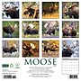 2026 Willow Creek Moose 12" x 12" Monthly Wall Calendar (52020)~#|#~97C4C22C-C184-4375-AFCFE7A70FBDCBB0_sc7