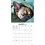 2026 TF Publishing Dog Dreams 12" x 12" Monthly Wall Calendar (26-1010)~#|#~97CF608B-4669-457C-8F7ABEE4E3208E67_sc7