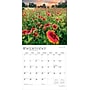 2026 BrownTrout Texas Wildflowers 12" x 12" Monthly Wall Calendar (9798330705832)~#|#~97DDE8BB-6EAD-43ED-A3E5232DE0D5C721_sc7