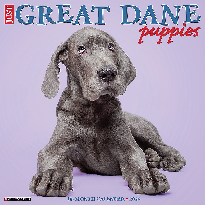 2026 Willow Creek Great Dane Puppies 12" x 12" Monthly Wall Calendar (55441) image 1