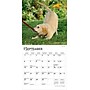 2026 BrownTrout For the Love of Puppies 7" x 7" Monthly Wall Calendar (9798330705252)~#|#~9841118E-D5D0-4526-8FAEBB9B5A98B35F_sc7
