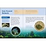 Animals That Break the Rules Picture Book, Hardcover~#|#~985C2336-6A36-41F5-AF6FA7A5ECE2EAB2_sc7