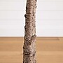 Nearly Natural 8' Autumn Oak Artificial Fall Tree (T4809)~#|#~988B4C03-DE7F-4285-AE5A680D57B1FD1E_sc7