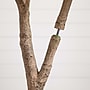 Nearly Natural 8' Autumn Maple Artificial Fall Tree (T4811)~#|#~98B0832C-B20D-4988-B93B52DCE93AA656_sc7