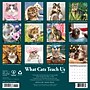 2027 Willow Creek 12" x 12" Monthly Wall Calendar, Assorted Colors (62883)~#|#~98B0E49B-0829-4BDC-8375DF8EDC4CABB7_sc7