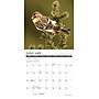 2026 Willow Creek Backyard Birds 7" x 7" Monthly Wall Calendar (53447)~#|#~98B84F7F-CD65-4E88-AA5CC7A285301140_sc7