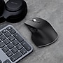 Delton S18 Wireless Ergonomic Optical Mouse, Black (DMS18-WB)~#|#~98CF41A0-4644-4EC7-A2DCCABFC50D397B_sc7