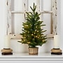 Nearly Natural Artificial Christmas Tree, 2' (T3325)~#|#~98D1D0A4-4261-45B5-965815BE72BFD5C2_sc7
