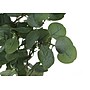 Monarch Specialties Inc. 46" Artificial Eucalyptus Tree in Pot (I 9518)~#|#~98E20E60-3DAB-4578-AA4AB6BAD4C9A9E6_sc7