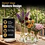 Azar Displays Medium Vase Tabletop Decor, Clear (556967-SET)~#|#~98EDB9F5-AE34-47D3-89DA10A43E472EB5_sc7