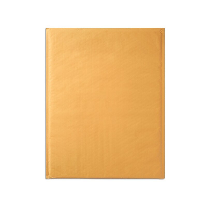 15" x 19" Self-Sealing Bubble Mailer (56565) image 1