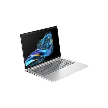 HP ProBook 445 G11 14