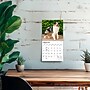 2027 BrownTrout Australian Shepherds 7" x 7" Monthly Wall Calendar, Assorted Colors (9798330709878)~#|#~990C6D87-1008-40A2-A54050AF5FEDCC93_sc7
