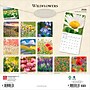 2026 BrownTrout Wildflowers 12" x 12" Monthly Wall Calendar (9798330706365)~#|#~990E600C-6DB5-498B-AA02C5ED83544408_sc7