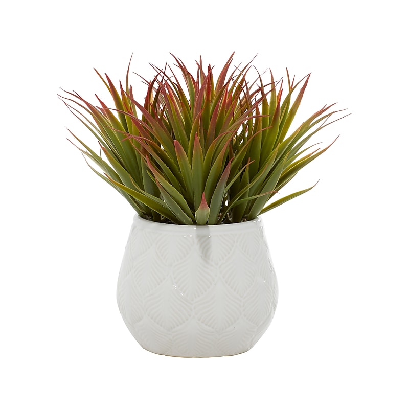 Uma Succulent in Decorative Vase (64084) image 1