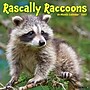 2027 Willow Creek Rascally Raccoons 12" x 12" Monthly Wall Calendar, Assorted Colors (62029)~#|#~9916CACD-779B-474F-A2A1DE1180D6B170_sc7