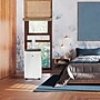 TCL 115-Volt 10,000 (BTU DOE) Portable Air Conditioner with Remote, WiFi Enabled, White (H10PH36W)~#|#~992631CA-DB9B-481D-8DF409E9839E69C5_sc7