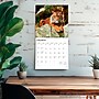 2026 BrownTrout Tigers 12" x 12" Monthly Wall Calendar (9798330705900)~#|#~99281989-A030-4F6D-ACF2D16C589D8999_sc7