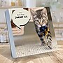 2027 TF Publishing Cat A Day 5.25" x 5.25" Daily Day-to-Day Calendar, Multicolored (27-3002)~#|#~9938C102-7771-4521-983E634E28B21D59_sc7