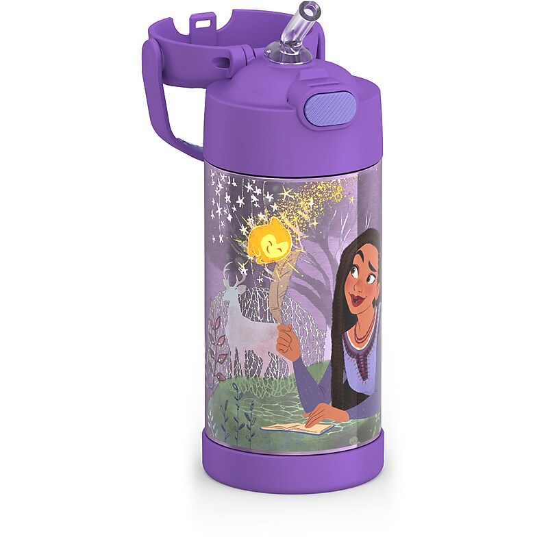 Thermos FUNtainer Disney's Wish Stainless Steel Vacuum Insulated Water Bottle, 12 oz. (EAF4103WI6) image 1