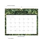 2025 Blue Sky Laina Dark 15" x 12" Monthly Wall Calendar, Green/Yellow (152489)~#|#~9942B020-07CB-4AA5-9A3D4018696EDAC9_sc7