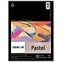 Canson Artist Series 9" x 12" Mi-Teintes Pastel Pad, 24 Sheets/Pad, 2/Bundle (MCXC100510864-2)~#|#~9989F550-E405-4CE5-9C81A10D73D21D07_sc7