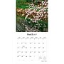 2027 BrownTrout Japanese Gardens 12" x 12" Monthly Wall Calendar (9798330713981)~#|#~99973E67-B543-41C6-A6F348B72291BF51_sc7