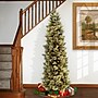 National Tree Company Carolina Pine Artificial Christmas Tree (CAP3-330-75)~#|#~99AA200B-9F84-4EBF-B9E483DCBF0E8B48_sc7