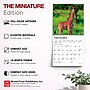 2027 BrownTrout Baby Animals 7" x 7" Monthly Wall Calendar, Assorted Colors (9798330709755)~#|#~99AD9ED2-EE44-499E-A1697580092BF3C3_sc7