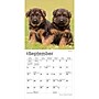 2027 BrownTrout German Shepherd Puppies 7" x 7" Monthly Wall Calendar, Assorted Colors (9798330714780)~#|#~99C87761-F09F-4FB1-AFE93488441496E6_sc7
