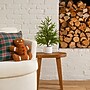 Nearly Natural Artificial Real Touch Norfolk Island Pine in White Decorative Planter, 22" (T5383)~#|#~99CBE7E5-611D-4881-8E172F716AABECA9_sc7