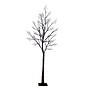 Nearly Natural Pre-Lit Halloween Minimalist Twig Artificial Fall Tree, 7' (T5162)~#|#~99D05EE2-5180-4DC0-BFF620EA81CA9E7C_sc7
