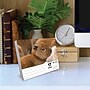 2027 Willow Creek Baby Animals 6.2" x 5.4" Daily Day-to-Day Calendar, Assorted Colors (63262)~#|#~99DB7E32-707C-4C5B-A2D45A9FDA2825B6_sc7
