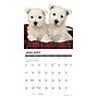 2026 Willow Creek Westie Puppies 12" x 12" Monthly Wall Calendar (53126)~#|#~99DE6254-65B2-42E1-BC51EEBB928B3F32_sc7