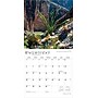 2026 BrownTrout Texas Wild & Scenic 12" x 12" Monthly Wall Calendar (9798330705825)~#|#~99EF0339-BF7D-4355-9DF91EB01031177A_sc7