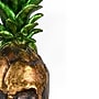 National Tree Company 14" Halloween Pineapple Skull Tabletop Decor (HH75-HP203417Z1)~#|#~9A07FA3A-397E-4015-95DCD757CD017701_sc7