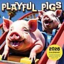 2026 TF Publishing Playful Pigs 12" x 12" Monthly Wall Calendar (26-1023)~#|#~9A1BB0EA-8E24-4DF4-B99A6749119DCD3E_sc7